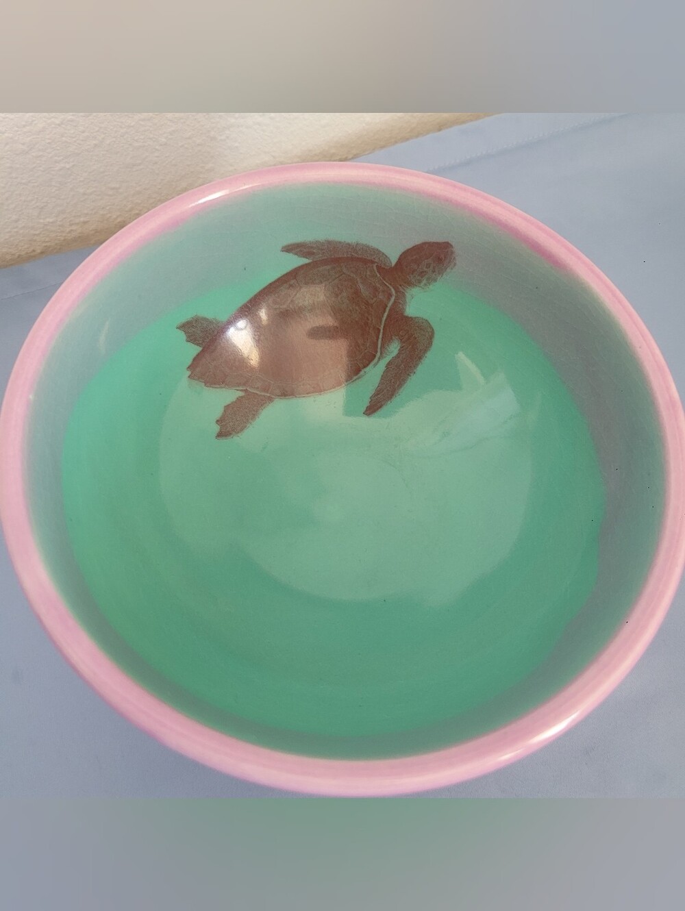 Cephalopod Ink.. Pink & Mint Sea Turtle Ceramic Decorative Bowl
